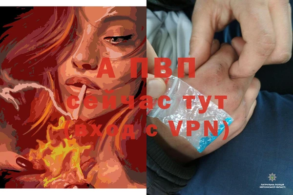 соль курить ск Лагань