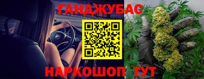 гашик Бийск