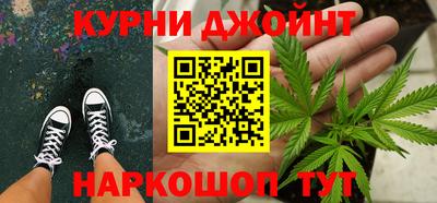 гашик Бийск