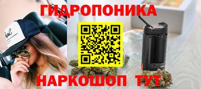 кокс Кандалакша