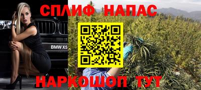 гашик Бийск