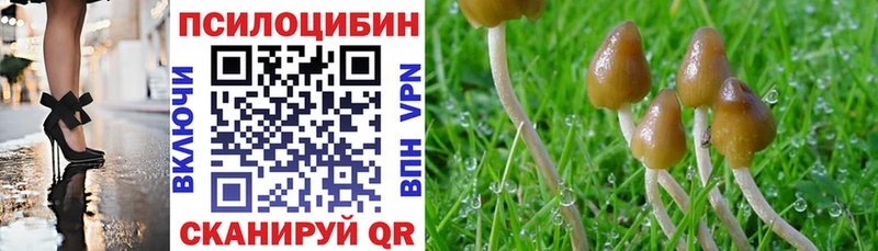 Галлюциногенные грибы ЛСД  Димитровград 