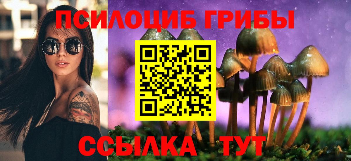 Димитровград  Псилоцибиновые грибы Magic Shrooms  Вход с VPN  Псилоцибиновые грибы Psilocybine cubensis 