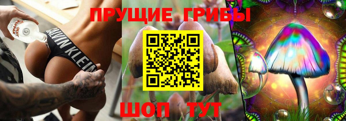 Галлюциногенные грибы MAGIC MUSHROOMS Димитровград